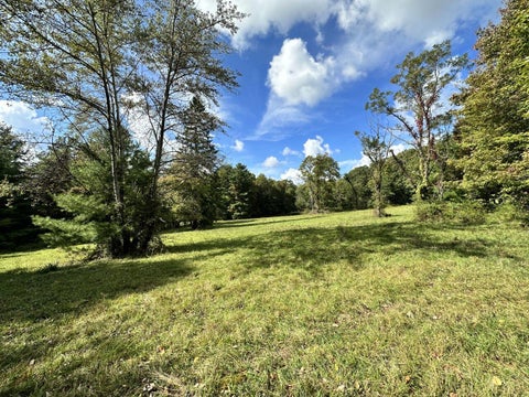 Vacant Land For Sale - Kates Mountain Rd<br/> White Sulphur Springs, WV 24986