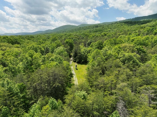 SOUTHSIDE RD, NEW CASTLE, VA 24127 - Image 2b13d1e69716d227bb4e18eaafd17efb/2102139453
