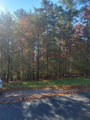 2930 NEW RIDGE RD, ELLISTON, VA 24087 - Image 2e2ef0f63454c29ac5c679e2b388ebe2/311157362