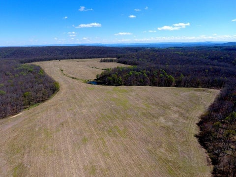 Vacant Land For Sale - Iona Rd<br/> White Oak, WV 25989