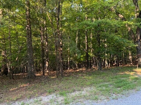 Vacant Land For Sale - LOT 22 Woodshire Dr<br/> Blue Ridge, VA 24064
