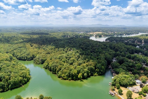 Slider Thumb