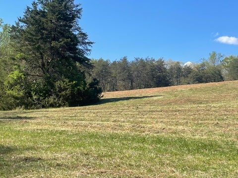 Vacant Land For Sale - Northridge Rd<br/> Hardy, VA 24101