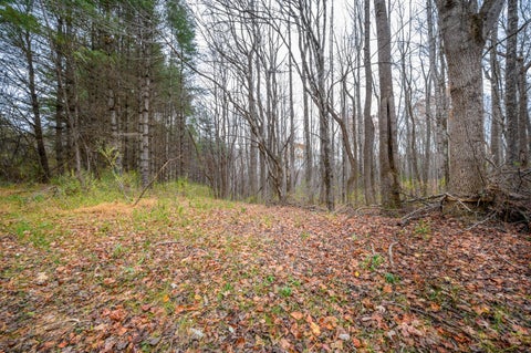 Vacant Land For Sale - 621 Wild Cherry Rd<br/> Pilot, VA 24138