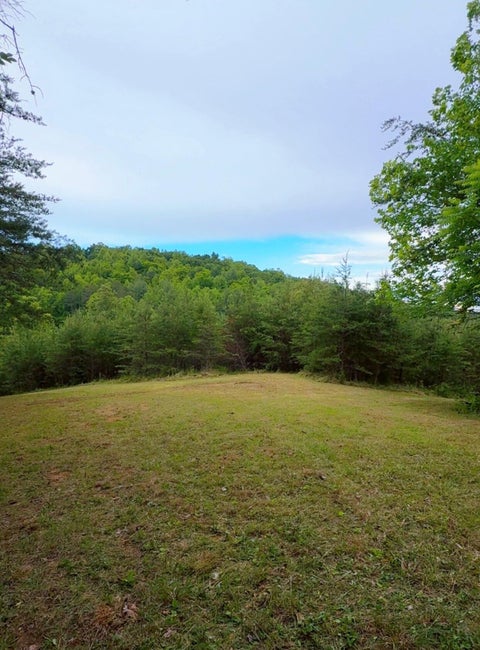 Vacant Land For Sale - Bear Ln<br/> Ferrum, VA 24088