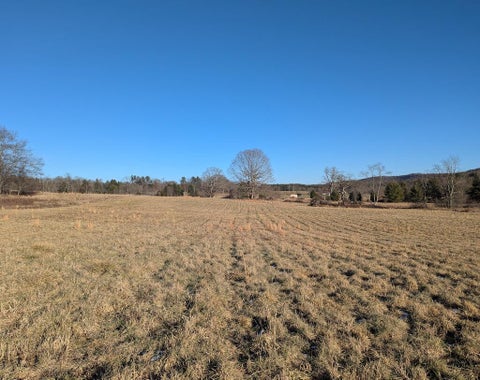 Vacant Land For Sale - TBD Firehouse Rd<br/> Willis, VA 24380