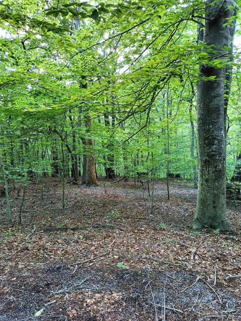 Vacant Land For Sale - LOT 41 Old Barn Rd<br/> Bedford County County, Moneta, VA 24121