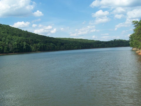 Vacant Land For Sale - 117 Greenberry Dr<br/> Pittsville, VA 24139