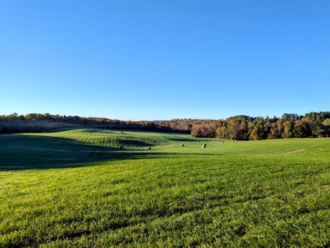 Vacant Land For Sale - TBD Daniels Run Rd<br/> Check, VA 24072