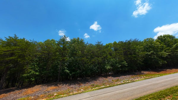 LOT 61 GARRISON RIDGE, PITTSVILLE, VA 24139 - Image 44a58aa5d98fa965d40b3b3b7a47ff13/1236397871