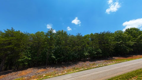 Vacant Land For Sale - LOT 61 Garrison Ridge<br/> Pittsville, VA 24139