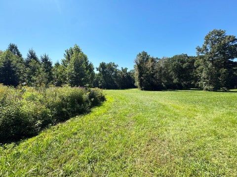 Vacant Land For Sale - Rawlsdale Rd<br/> Courtland, VA 23837
