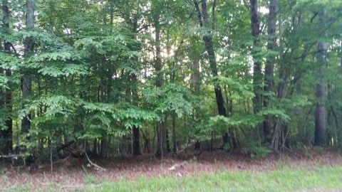 Vacant Land For Sale - LOT 1 Mallard Point Rd<br/> Wirtz, VA 24184