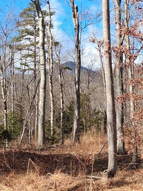 Vacant Land For Sale - 0 (LOT 2) Meadors Mill Rd<br/> Bedford, VA 24523