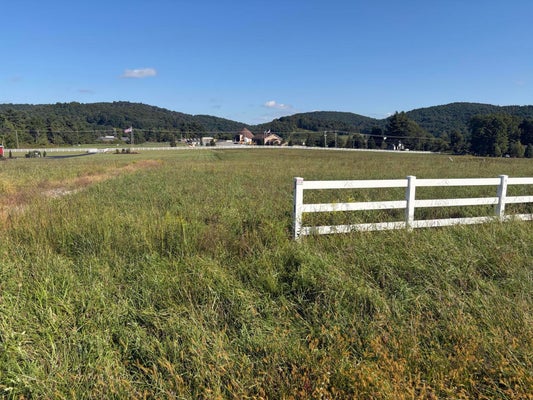 9786 TINSLEY LN, BENT MOUNTAIN, VA 24059 - Image 577e606e4e1ca235924959deb6961f66/1283373113