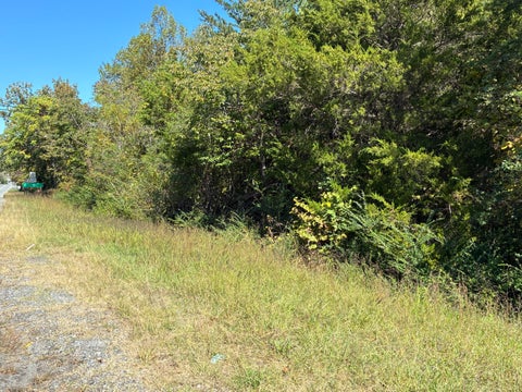Vacant Land For Sale - South Main St<br/> Rocky Mount, VA 24151