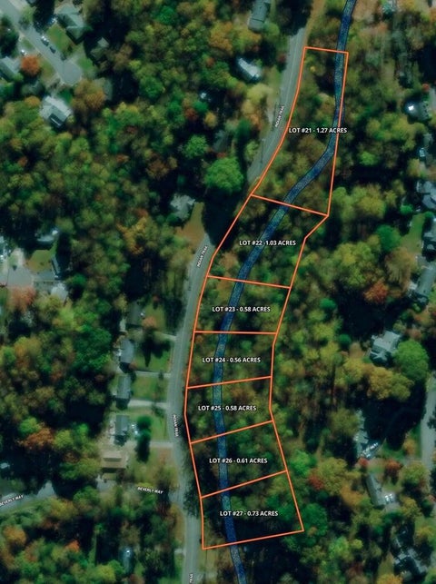 Vacant Land For Sale - 00 Indian Trl<br/> Henry County, Martinsville, VA 24112