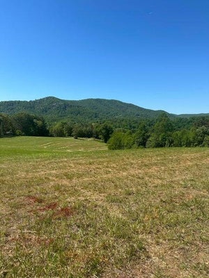 LOT 41 RIVER ROCK RD, VINTON, VA 24179 - Image 5ac163d4e7696e33f47702186685d2dc/3045303612