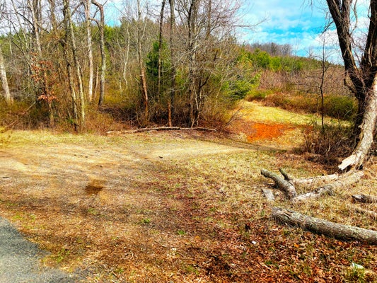 W FORK LN NE, FLOYD, VA 24091 - Image 5ce8799ebab1f29ae33bc65b1cce3d29/4284352246