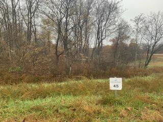 Vacant Land For Sale - LOT 45 Red Barn Ln<br/> Wirtz, VA 24184