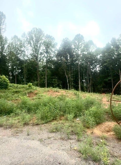 Vacant Land For Sale - 20-LOT Oriole Court<br/> Bedford, VA 24523