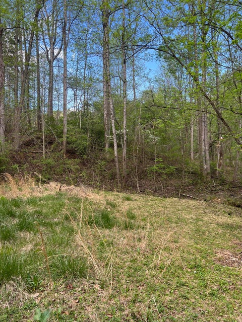 Vacant Land For Sale - 332 Terrace Rd<br/> Boones Mill, VA 24065