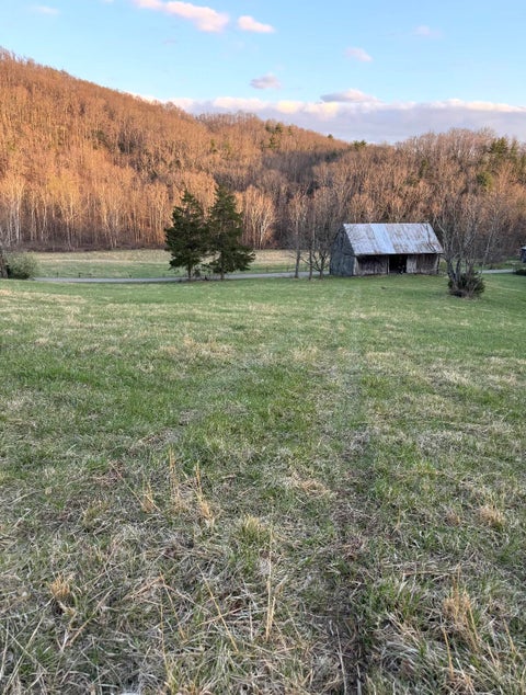 Vacant Land For Sale - Tharp Creek Rd<br/> Ferrum, VA 24088