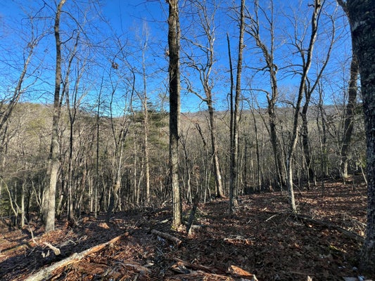 LOT 45 BLACK DIAMOND DR, NEW CASTLE, VA 24127 - Image 6dfa715fd367dcd9c2b9cf94209b45ed/988708337
