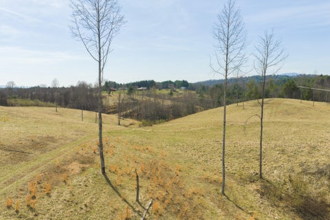 Vacant Land For Sale - TBD Carsonville Rd<br/> Independence, VA 24348