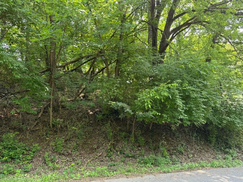 Vacant Land For Sale - Chestnut St<br/> Vinton, VA 24179