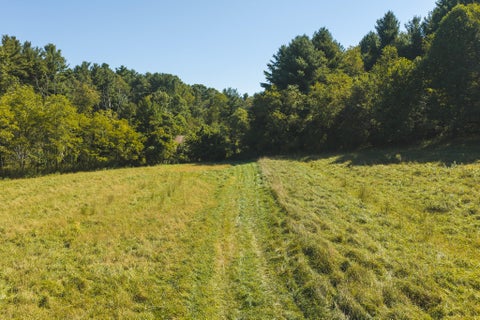 Vacant Land For Sale - 10568 Bottom Creek Rd<br/> Bent Mountain, VA 24059