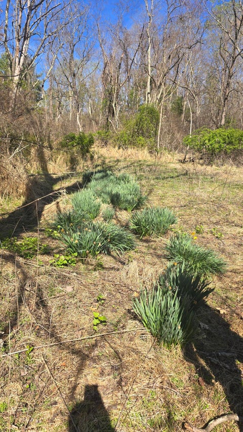 Vacant Land For Sale - TBD Huffville Rd<br/> Pilot, VA 24138