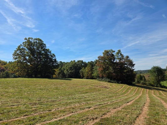 TBD RIDGE RD, CHECK, VA 24072 - Image 790b0b7d8c98eaaa18e1817faceeeebc/780376524