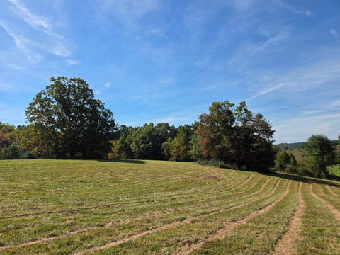 Vacant Land For Sale - TBD Ridge Rd<br/> Check, VA 24072