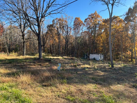 Vacant Land For Sale - 3102 Old Forge Rd<br/> Callaway, VA 24067