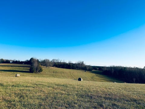 Vacant Land For Sale - 11766 Old Franklin Tpke<br/> Union Hall, VA 24176