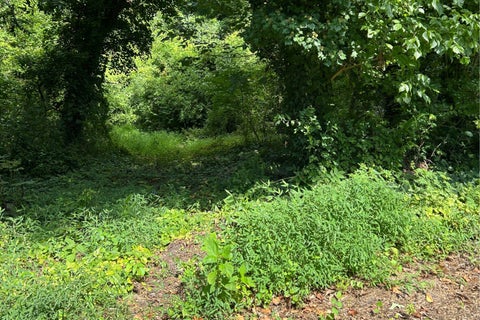 Vacant Land For Sale - Brooke St<br/> Brookneal, VA 24528