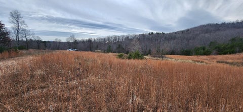 Vacant Land For Sale - LOT 4 Sontag Rd<br/> Franklin County County, Rocky Mount, VA 24151