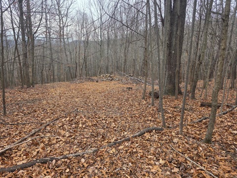 Vacant Land For Sale - Hickory Falls Rd<br/> Blue Ridge, VA 24064