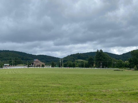 Vacant Land For Sale - 9727 Bent Mountain Rd<br/> Roanoke County, Bent Mountain, VA 24059