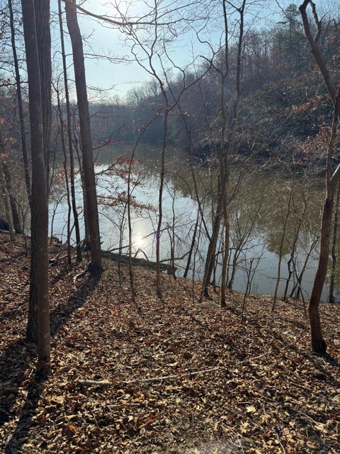 Vacant Land For Sale - LOT 26 Poplar Dr<br/> Botetourt County, Hardy, VA 24101