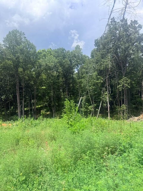 Vacant Land For Sale - 19-LOT Oriole Court<br/> Bedford, VA 24523