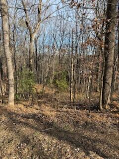 Vacant Land For Sale - Sunnycrest Rd<br/> Roanoke, VA 24018