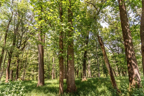 Vacant Land For Sale - Sunset Dr<br/> Amherst, VA 24521