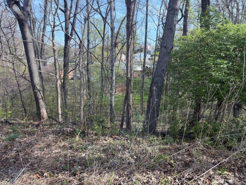 Vacant Land For Sale - 1813 Parker Ln<br/> Roanoke County, Vinton, VA 24179