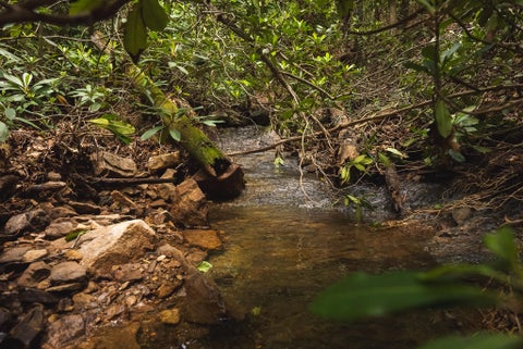 Vacant Land For Sale - TBD Macks Mountain Rd<br/> Indian Valley, VA 24105