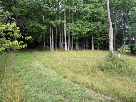 Vacant Land For Sale - 1501 Woods Gap Rd<br/> Floyd, VA 24091