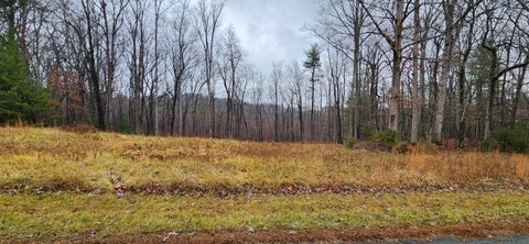 Vacant Land For Sale - LOT 11 Woods Edge Dr<br/> Franklin County, Rocky Mount, VA 24151