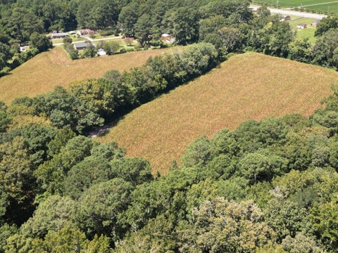 Vacant Land For Sale - Rawlsdale Rd<br/> Courtland, VA 23837
