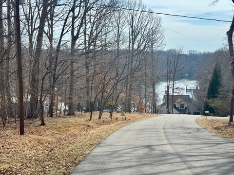 Vacant Land For Sale - LOT 99 Driftwood Ct<br/> Bedford County County, Moneta, VA 24121